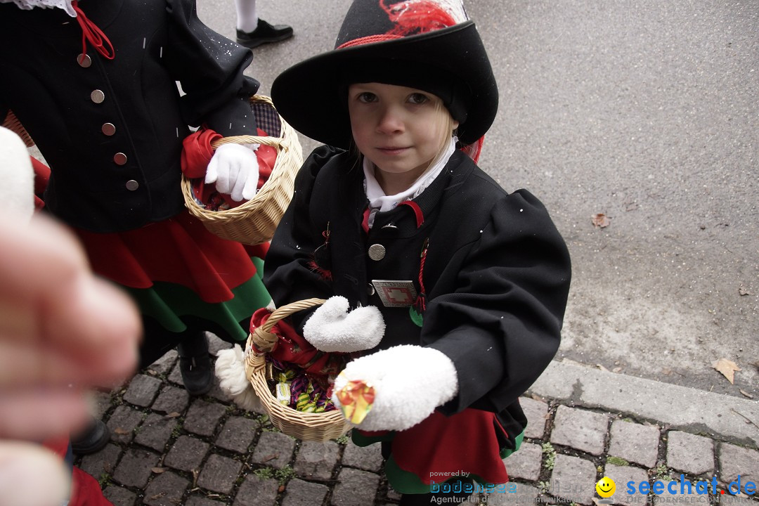 Festumzug mit Motivwagen: Stockach am Bodensee, 01.02.2015