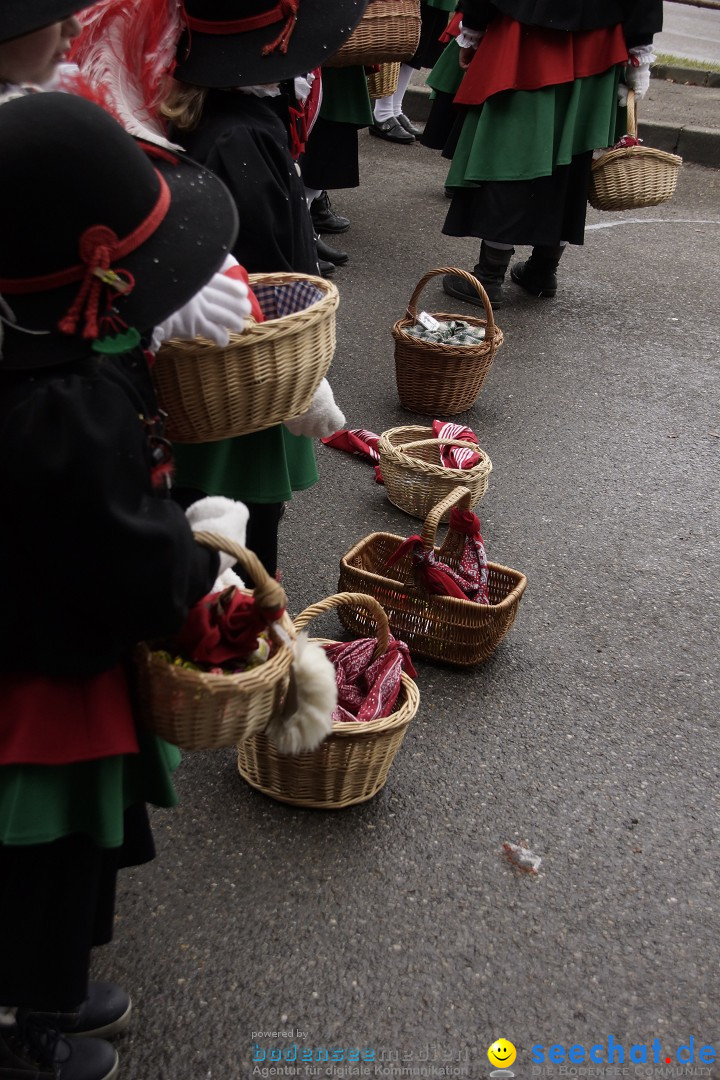 Festumzug mit Motivwagen: Stockach am Bodensee, 01.02.2015