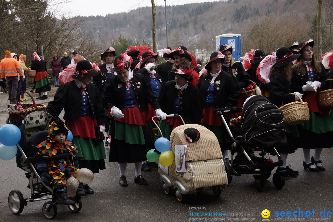 Festumzug mit Motivwagen: Stockach am Bodensee, 01.02.2015