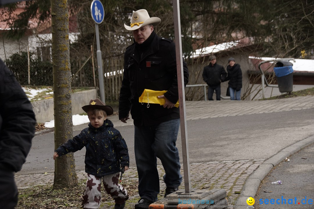 Festumzug mit Motivwagen: Stockach am Bodensee, 01.02.2015