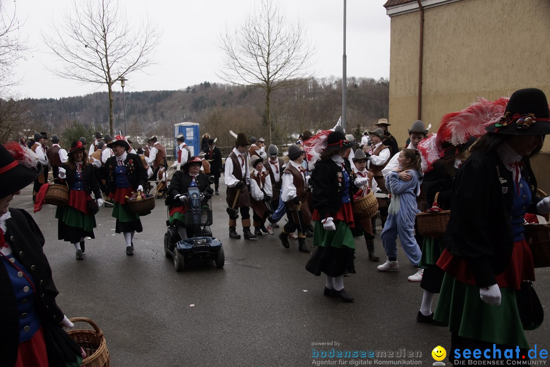 Festumzug mit Motivwagen: Stockach am Bodensee, 01.02.2015