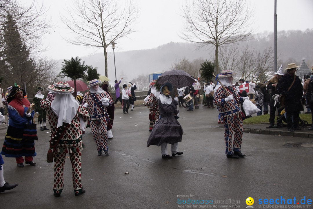 Festumzug mit Motivwagen: Stockach am Bodensee, 01.02.2015