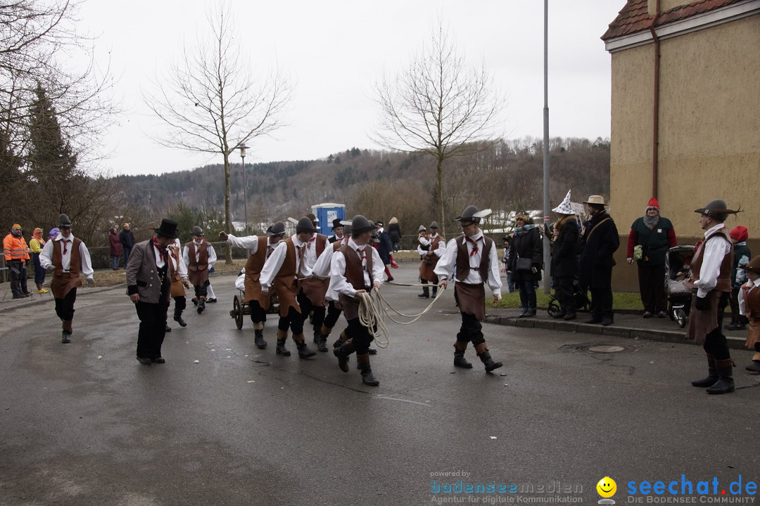 Festumzug mit Motivwagen: Stockach am Bodensee, 01.02.2015