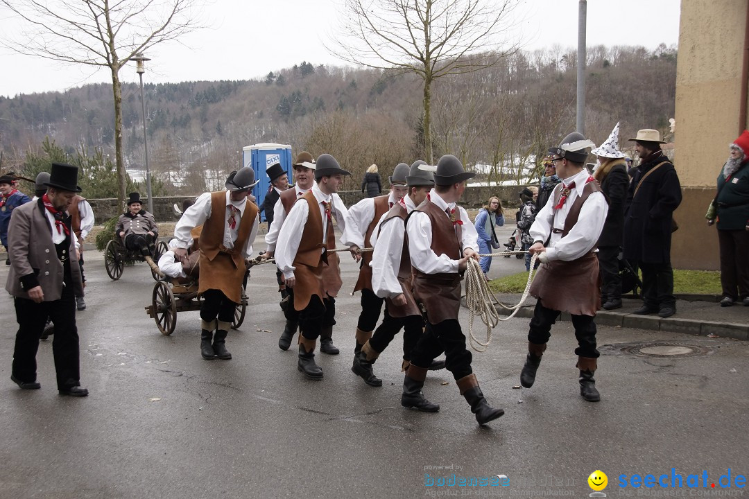 Festumzug mit Motivwagen: Stockach am Bodensee, 01.02.2015