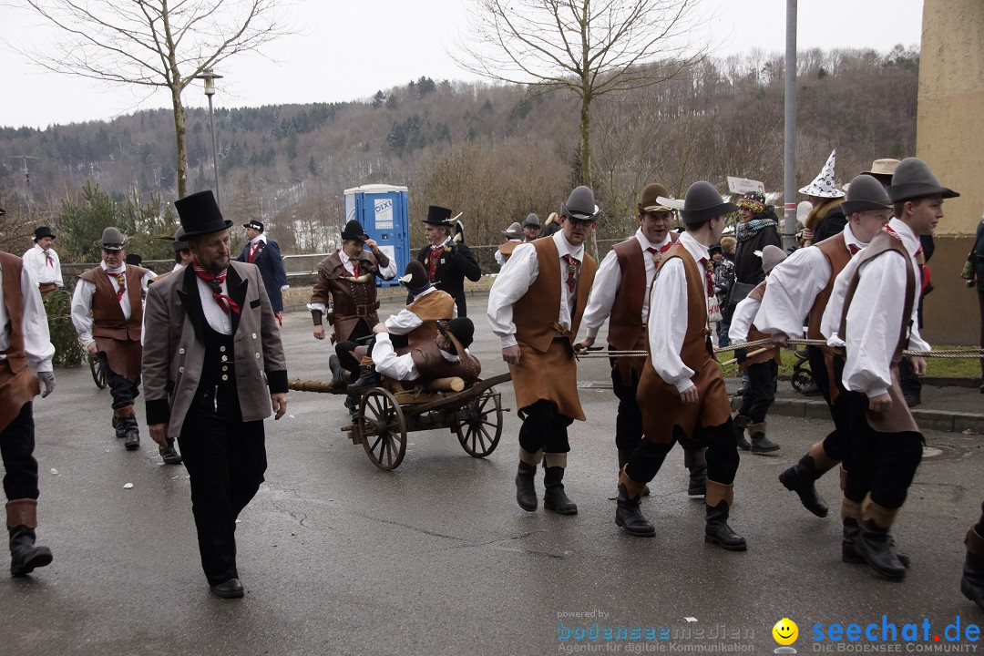 Festumzug mit Motivwagen: Stockach am Bodensee, 01.02.2015