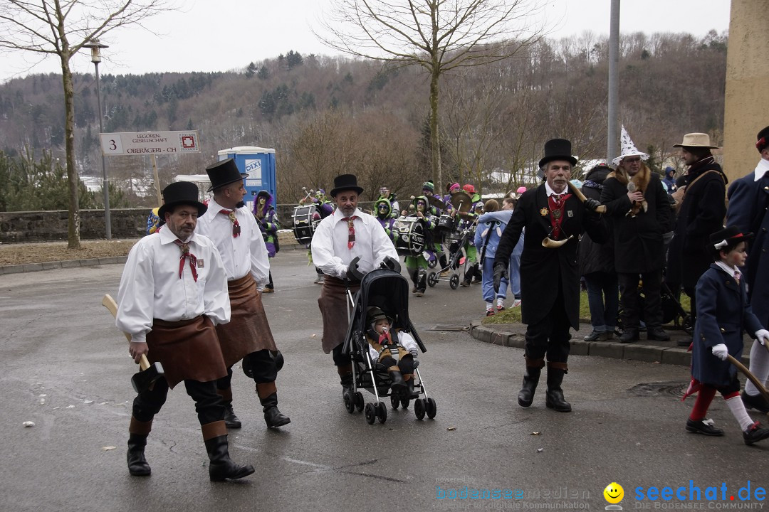 Festumzug mit Motivwagen: Stockach am Bodensee, 01.02.2015