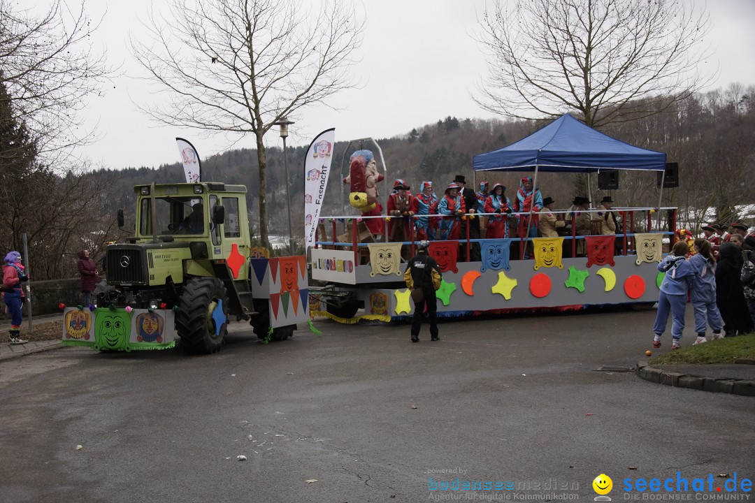 Festumzug mit Motivwagen: Stockach am Bodensee, 01.02.2015