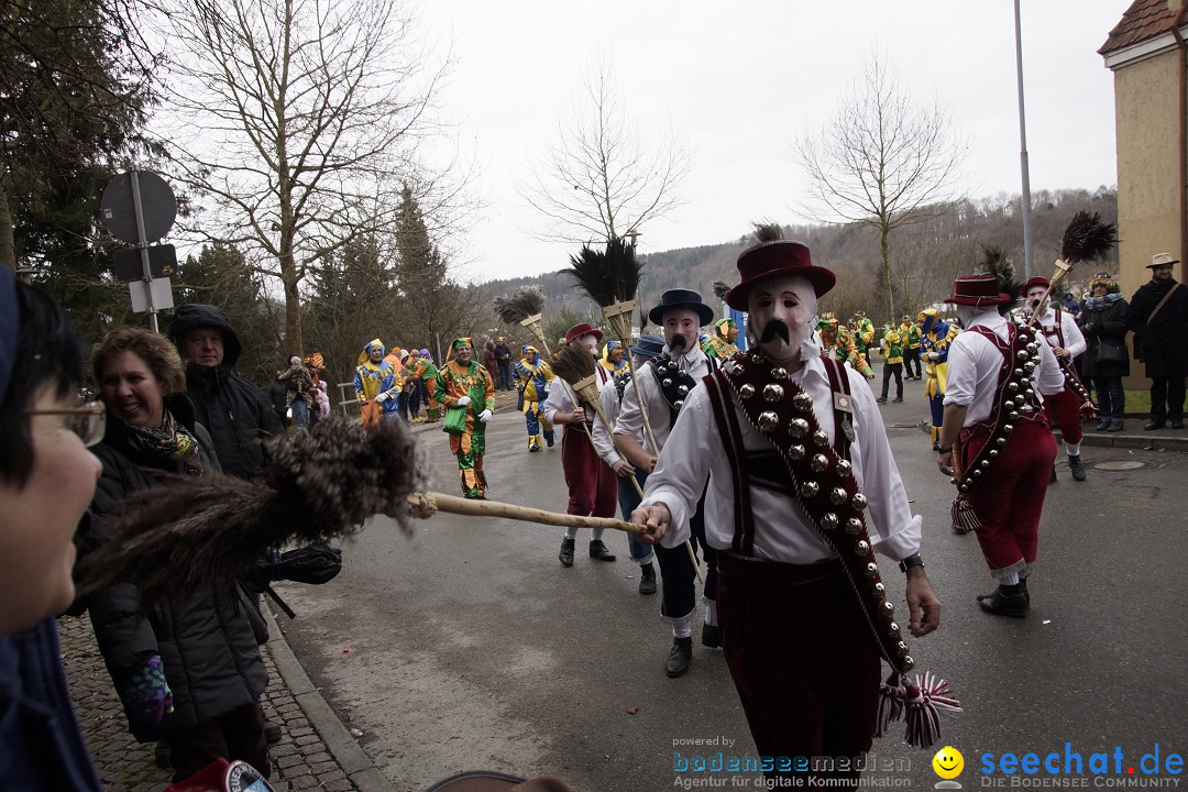 Festumzug mit Motivwagen: Stockach am Bodensee, 01.02.2015