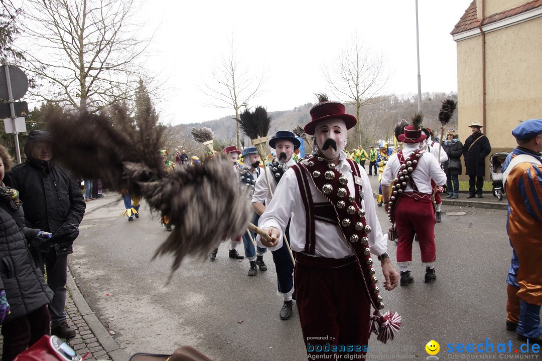 Festumzug mit Motivwagen: Stockach am Bodensee, 01.02.2015