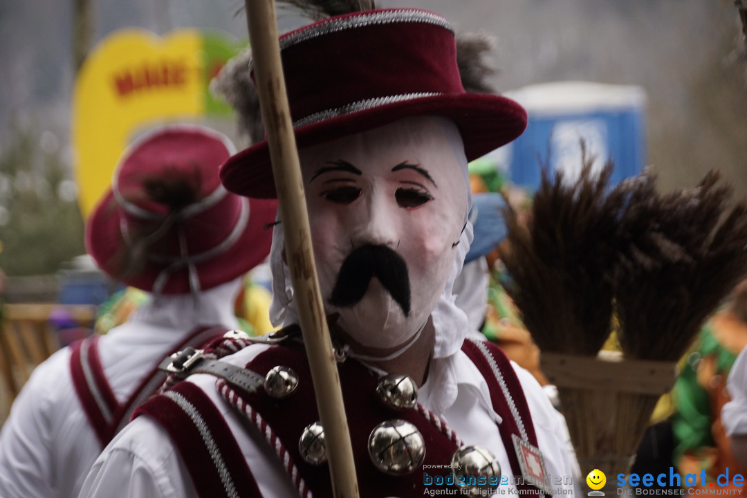 Festumzug mit Motivwagen: Stockach am Bodensee, 01.02.2015