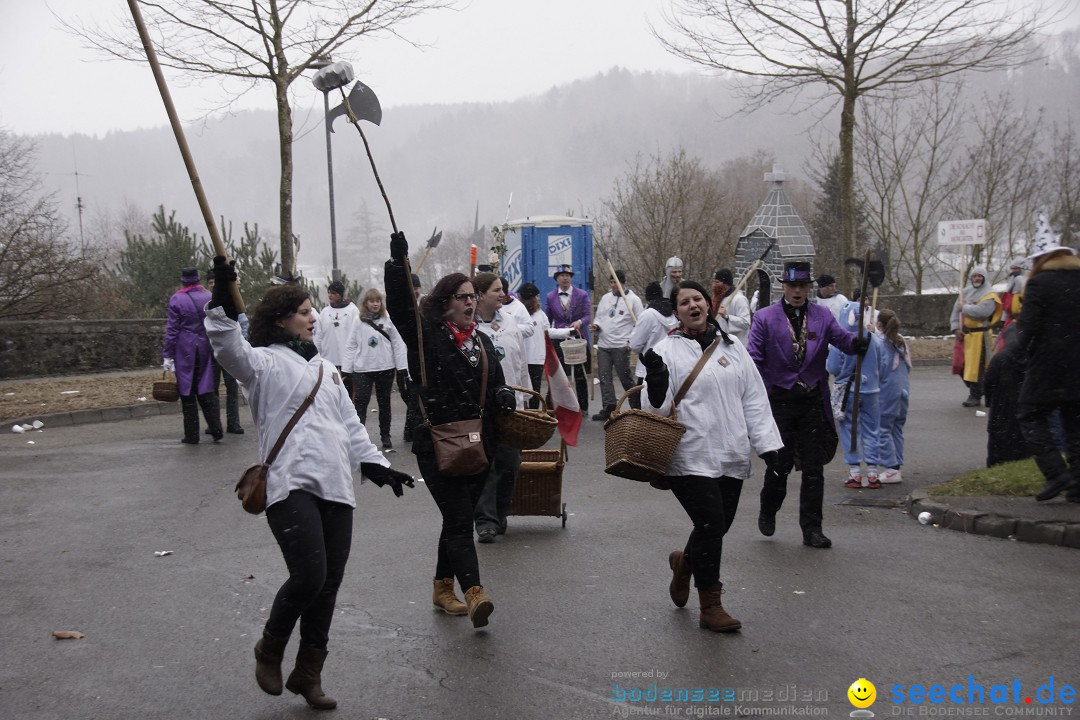 Festumzug mit Motivwagen: Stockach am Bodensee, 01.02.2015