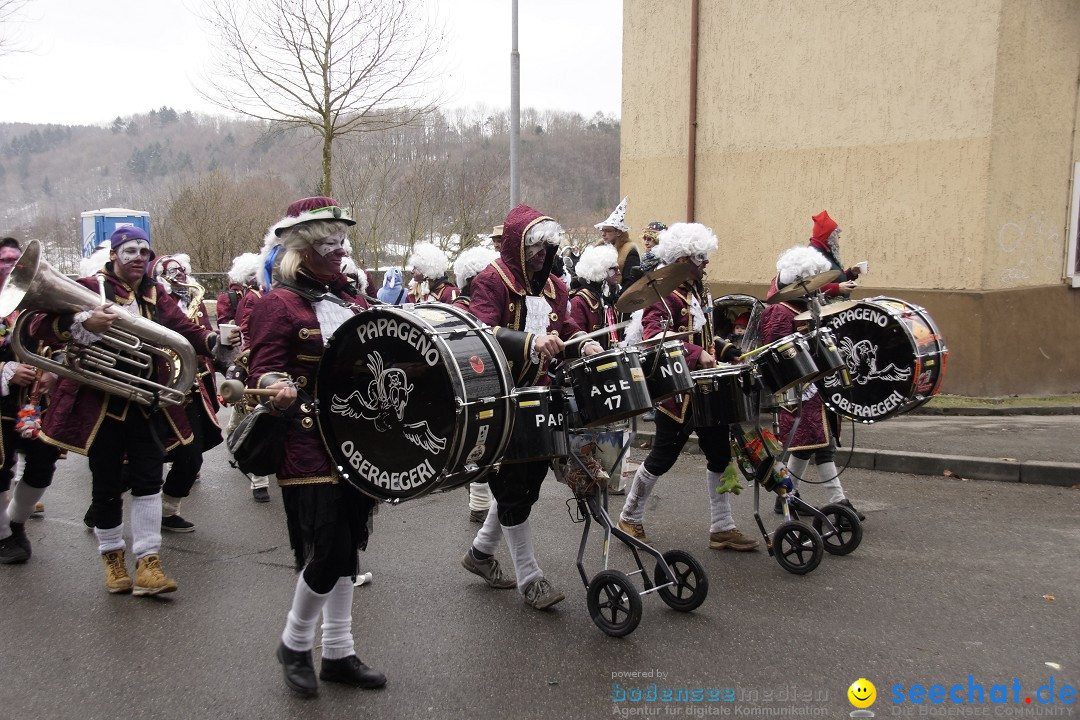 Festumzug mit Motivwagen: Stockach am Bodensee, 01.02.2015