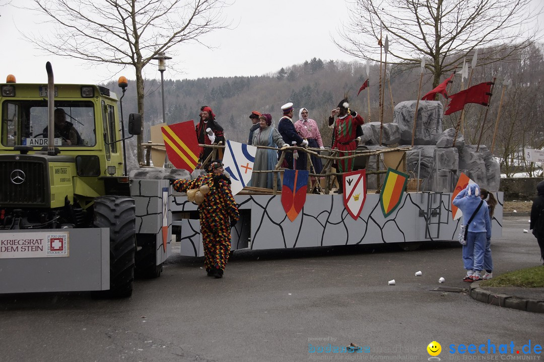 Festumzug mit Motivwagen: Stockach am Bodensee, 01.02.2015