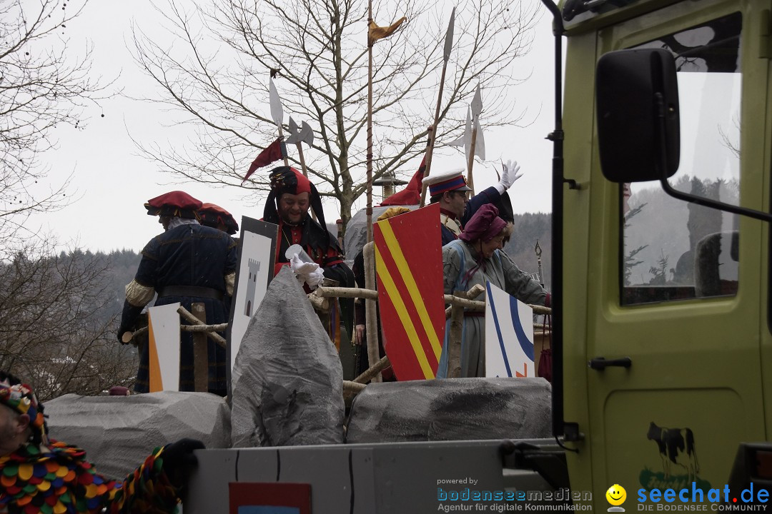 Festumzug mit Motivwagen: Stockach am Bodensee, 01.02.2015