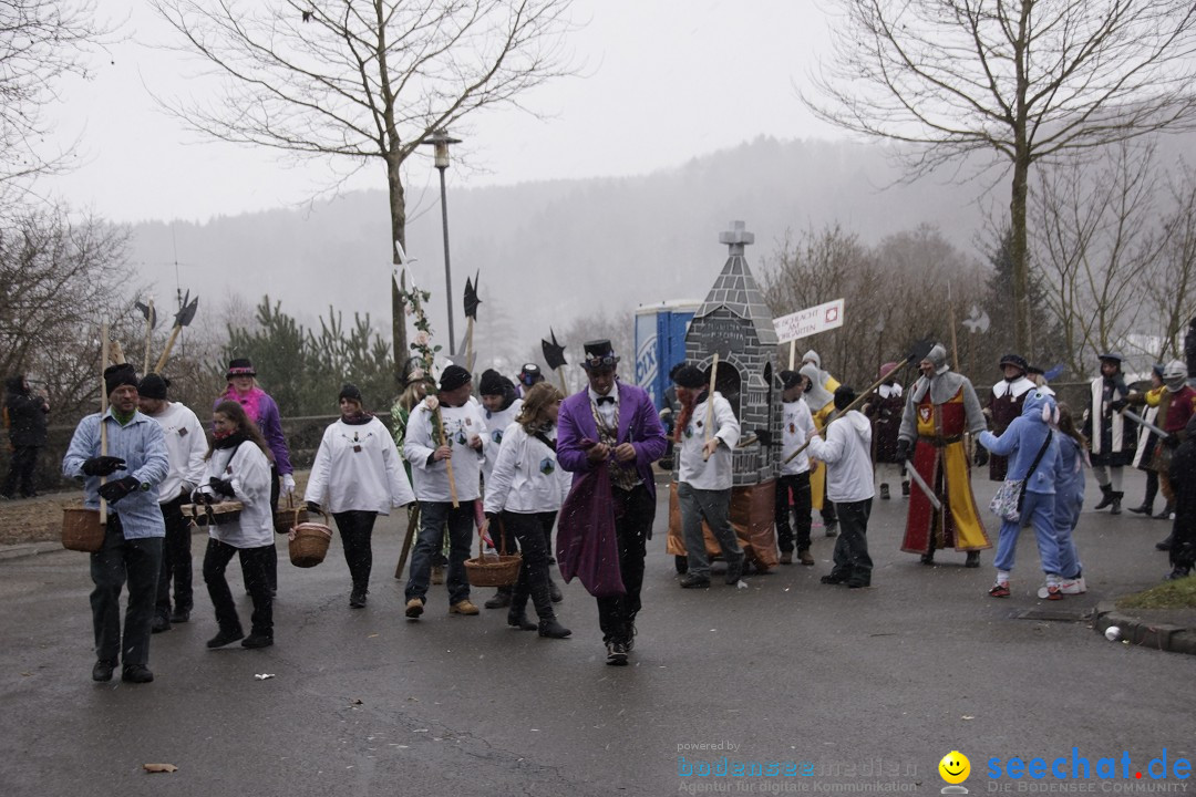 Festumzug mit Motivwagen: Stockach am Bodensee, 01.02.2015