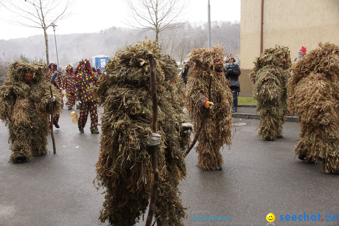 Festumzug mit Motivwagen: Stockach am Bodensee, 01.02.2015