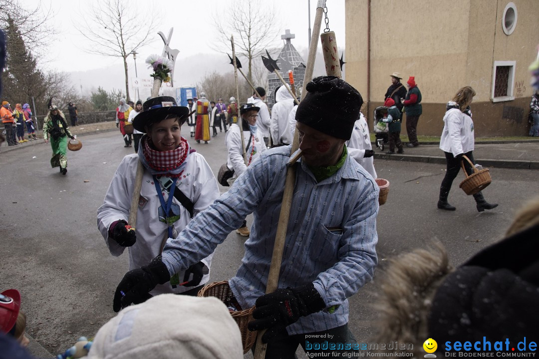 Festumzug mit Motivwagen: Stockach am Bodensee, 01.02.2015