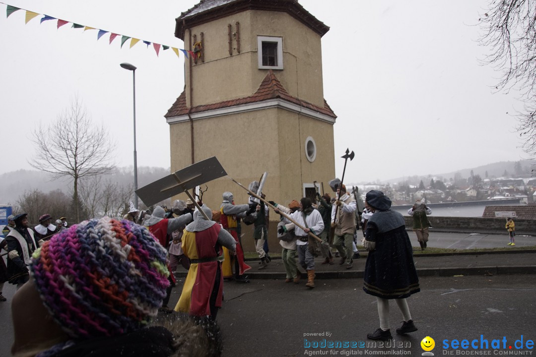 Festumzug mit Motivwagen: Stockach am Bodensee, 01.02.2015