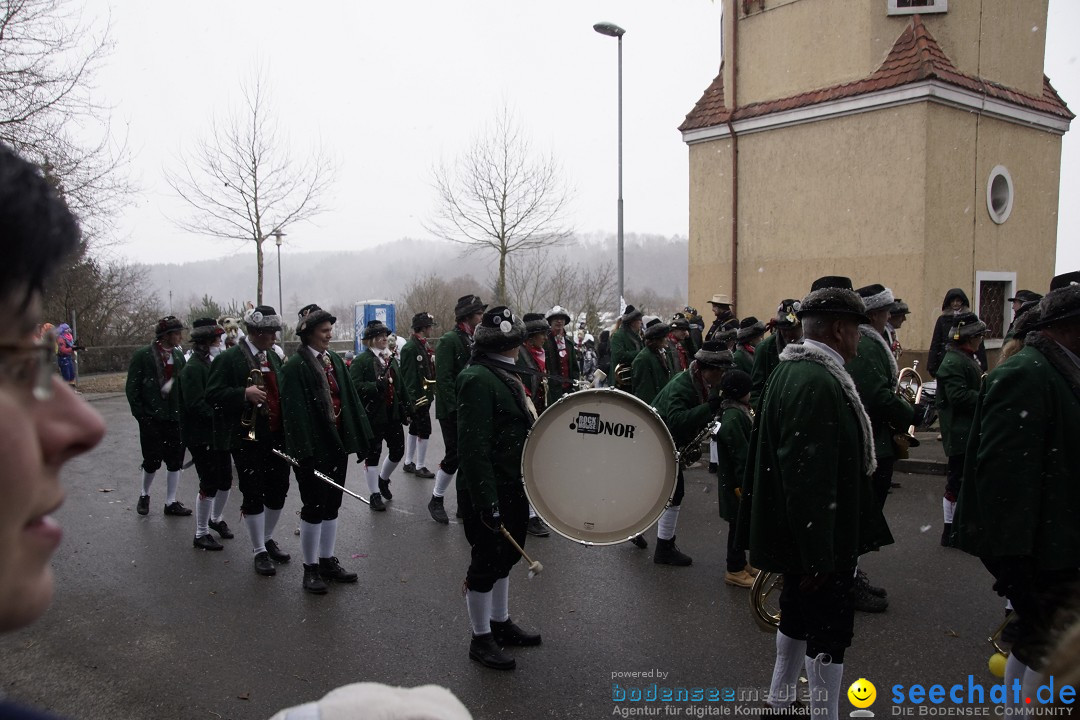 Festumzug mit Motivwagen: Stockach am Bodensee, 01.02.2015