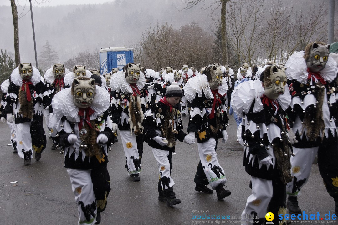 Festumzug mit Motivwagen: Stockach am Bodensee, 01.02.2015