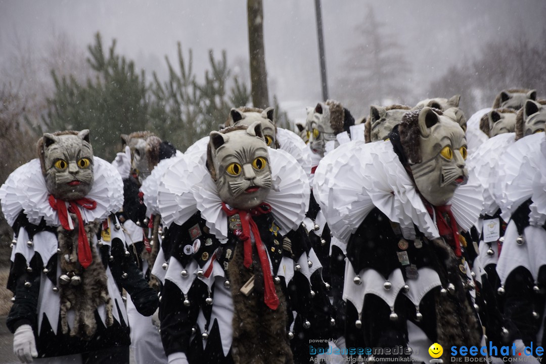 Festumzug mit Motivwagen: Stockach am Bodensee, 01.02.2015