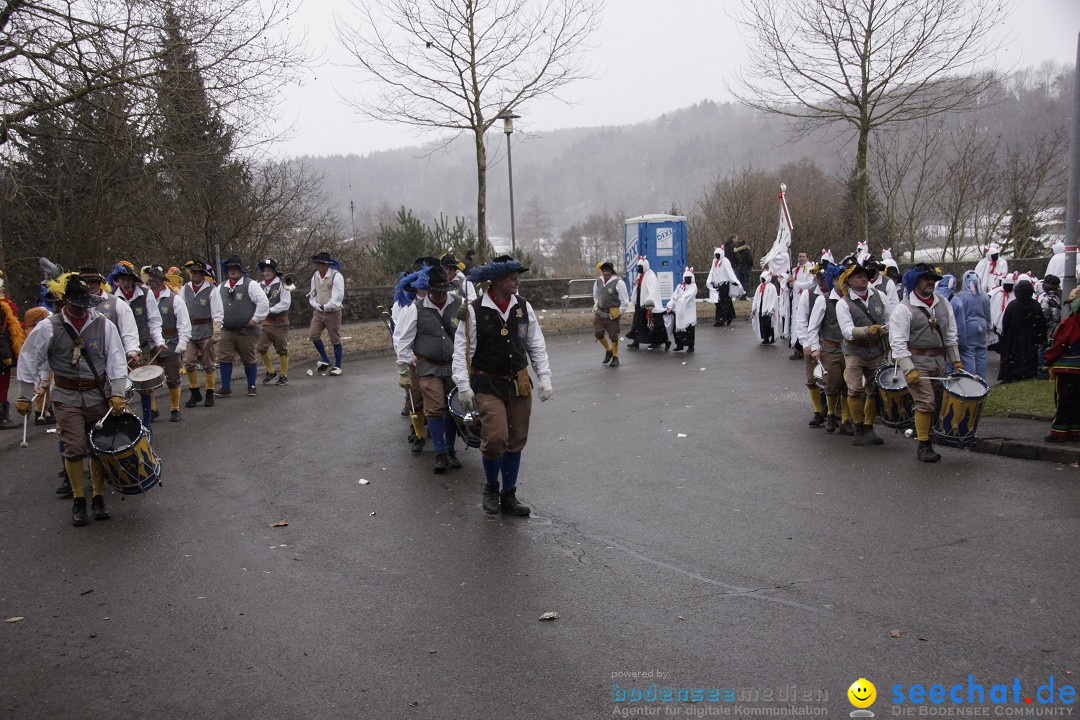 Festumzug mit Motivwagen: Stockach am Bodensee, 01.02.2015