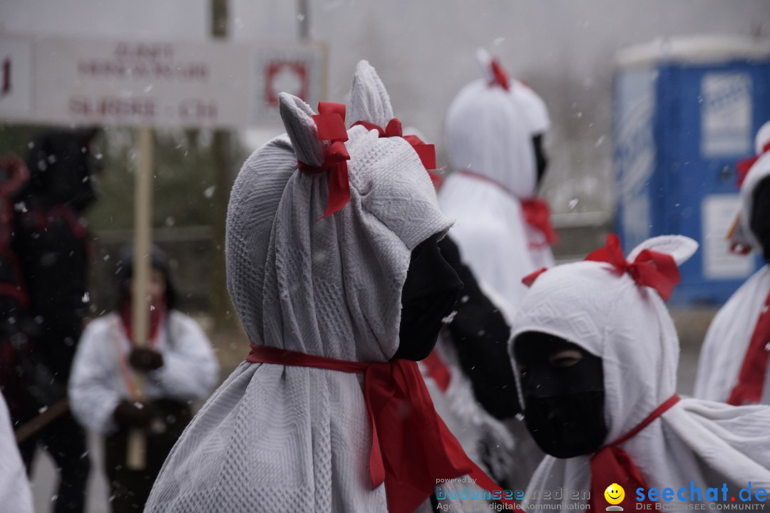 Festumzug mit Motivwagen: Stockach am Bodensee, 01.02.2015