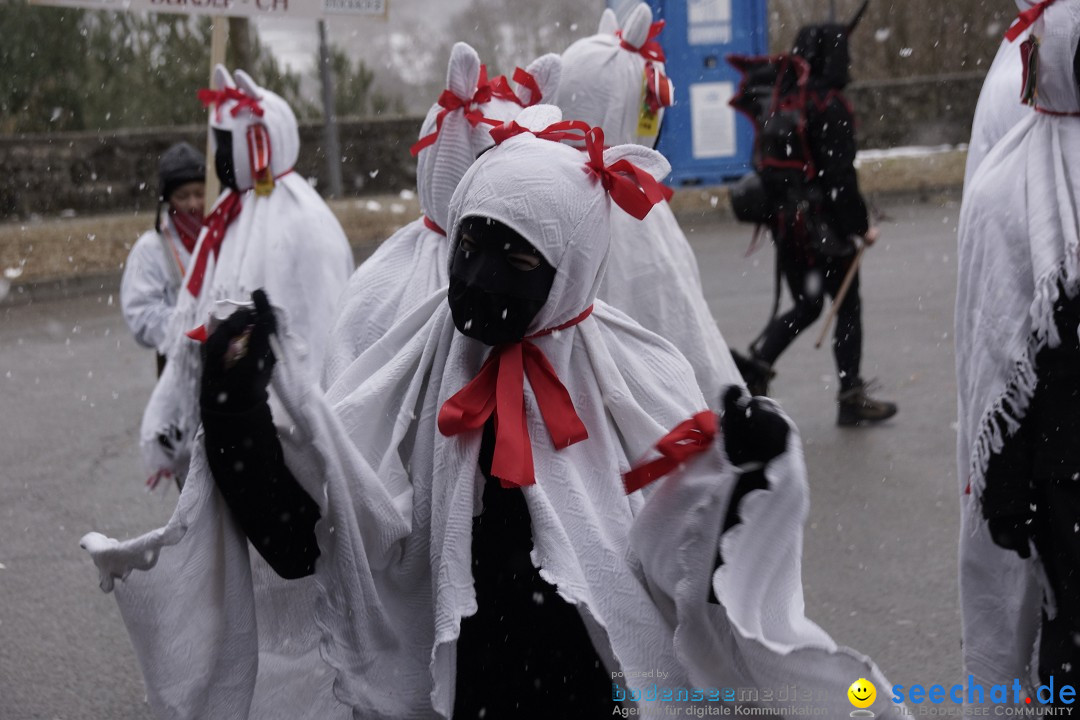 Festumzug mit Motivwagen: Stockach am Bodensee, 01.02.2015