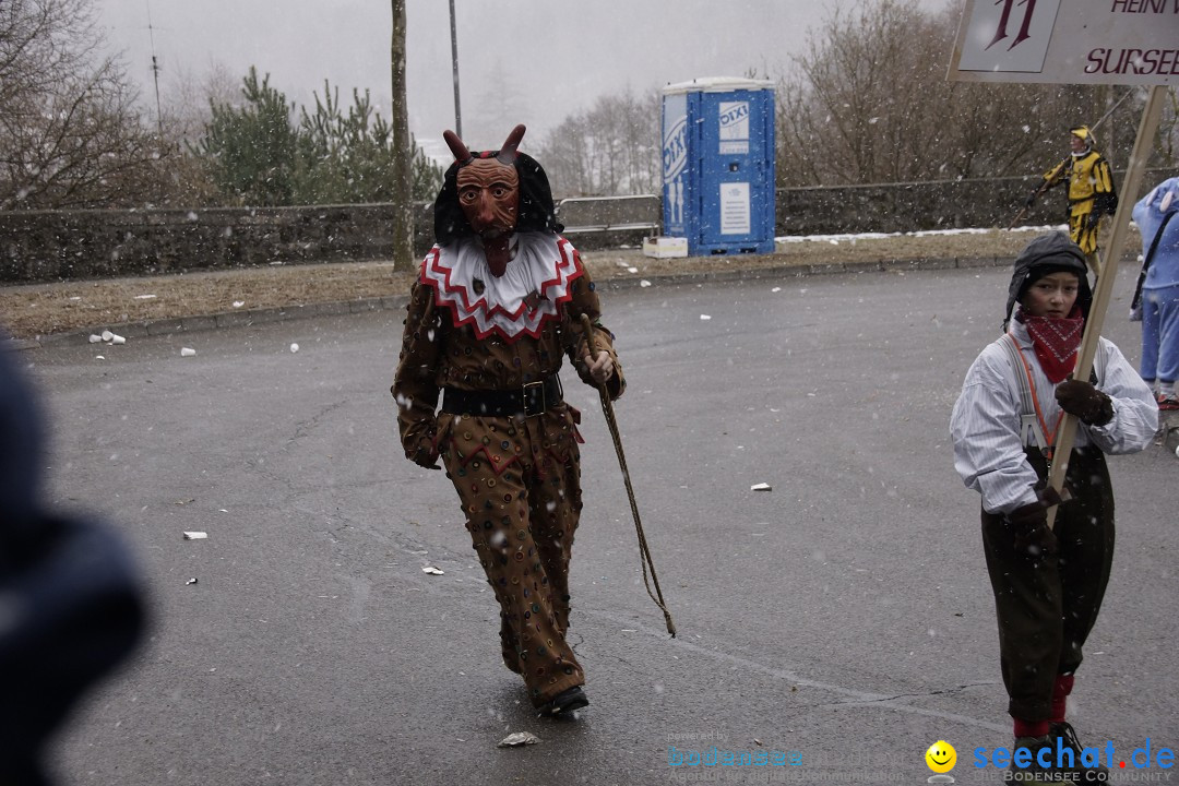 Festumzug mit Motivwagen: Stockach am Bodensee, 01.02.2015