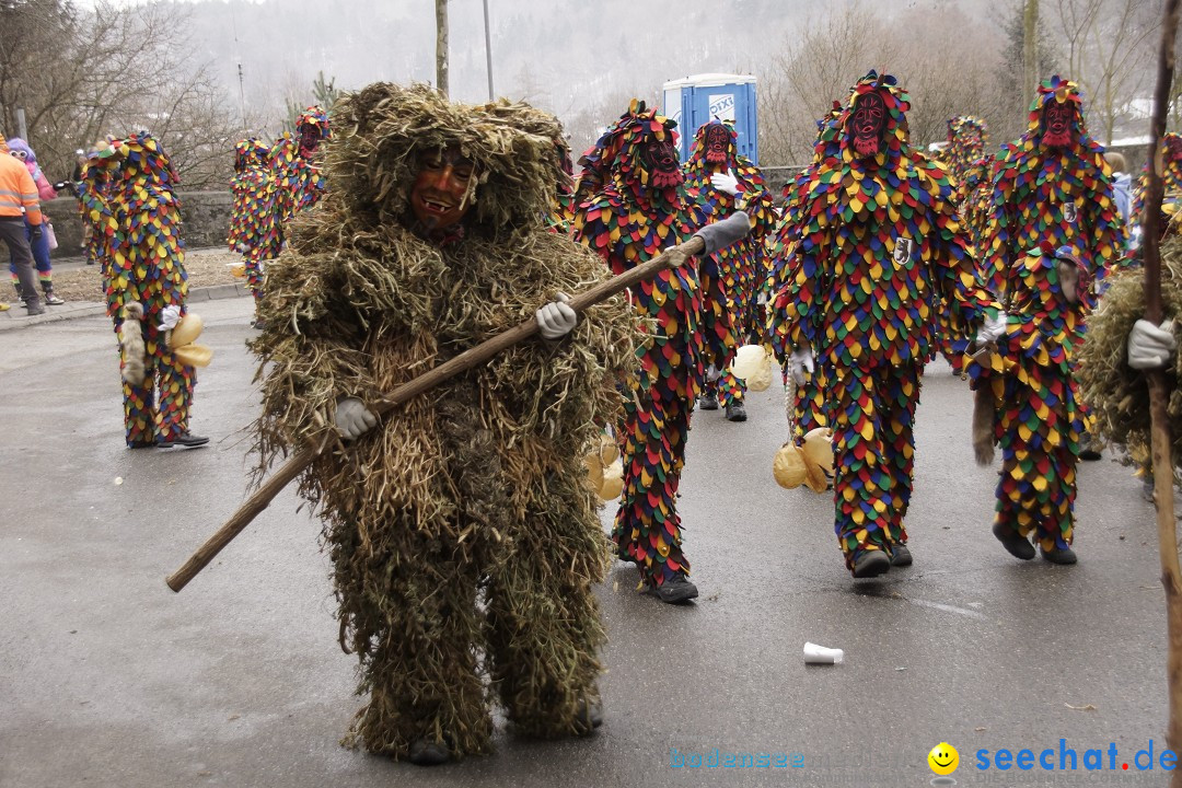 Festumzug mit Motivwagen: Stockach am Bodensee, 01.02.2015