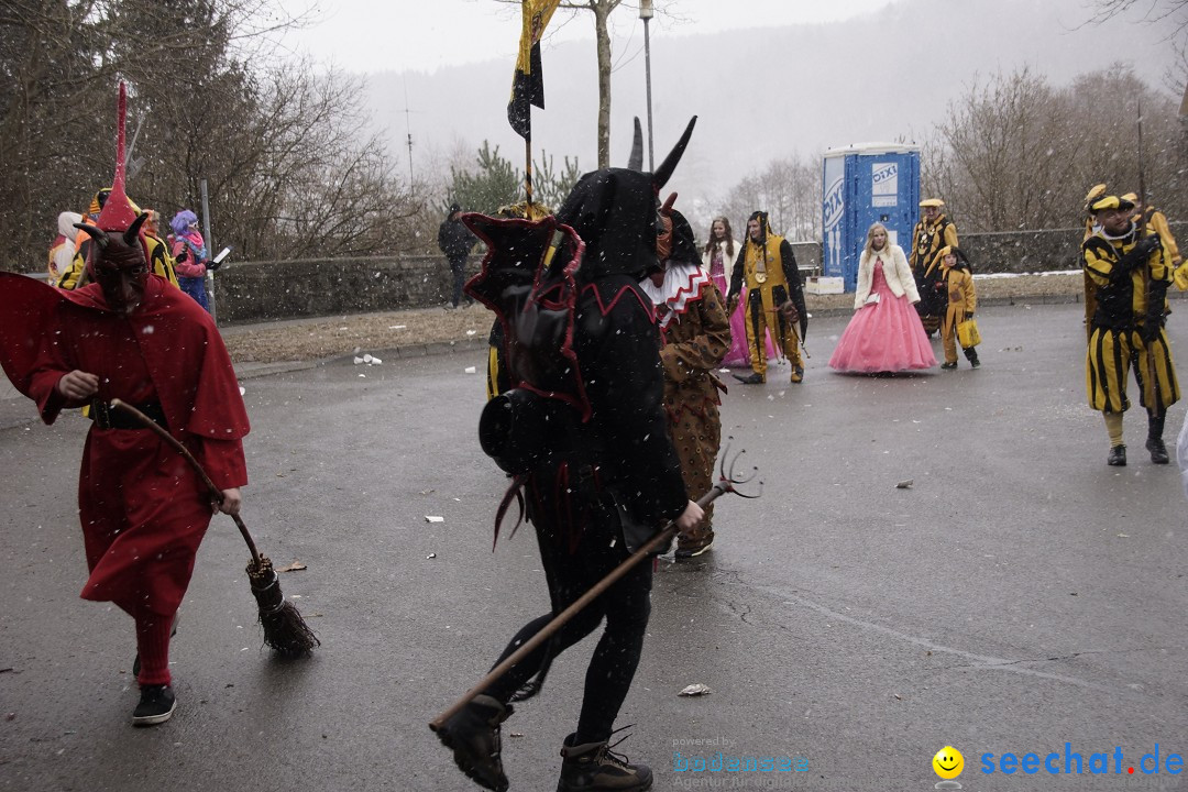 Festumzug mit Motivwagen: Stockach am Bodensee, 01.02.2015