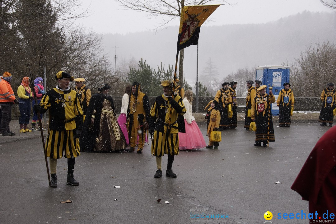 Festumzug mit Motivwagen: Stockach am Bodensee, 01.02.2015