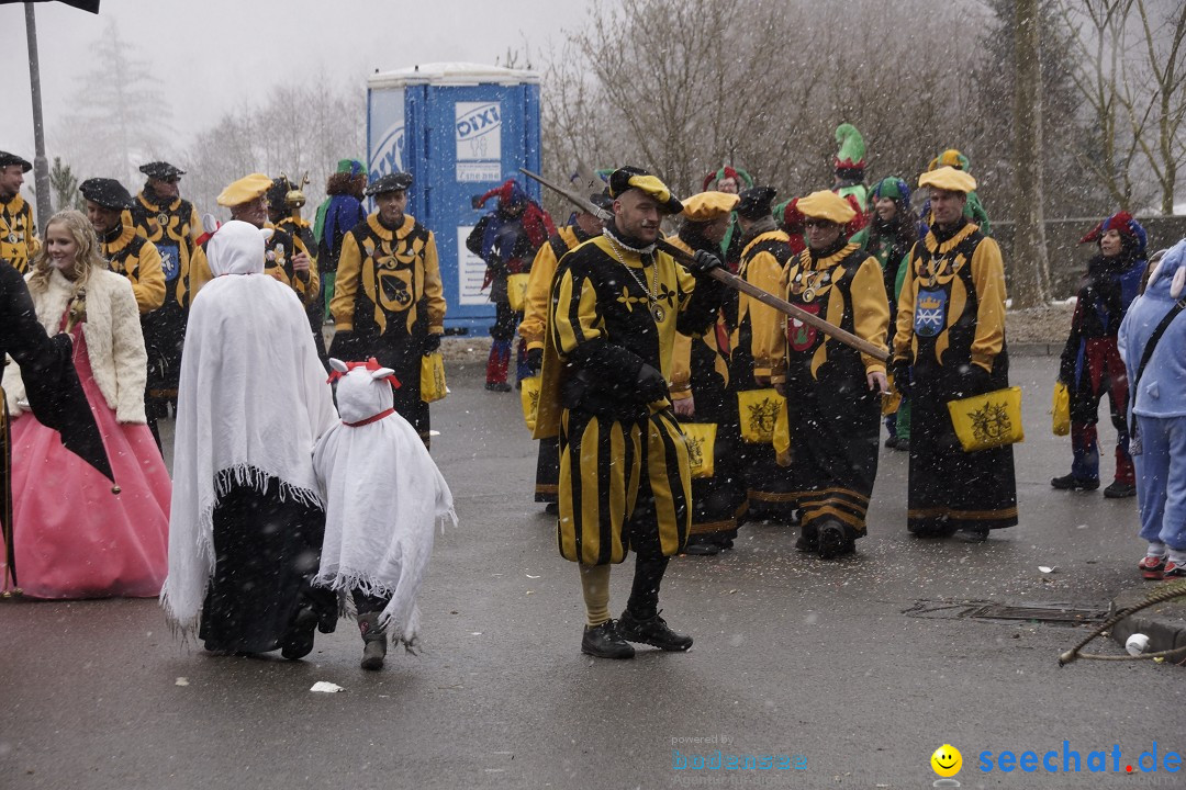 Festumzug mit Motivwagen: Stockach am Bodensee, 01.02.2015