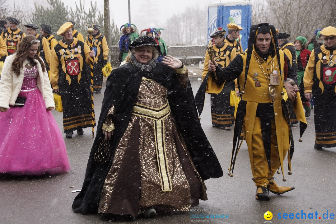 Festumzug mit Motivwagen: Stockach am Bodensee, 01.02.2015