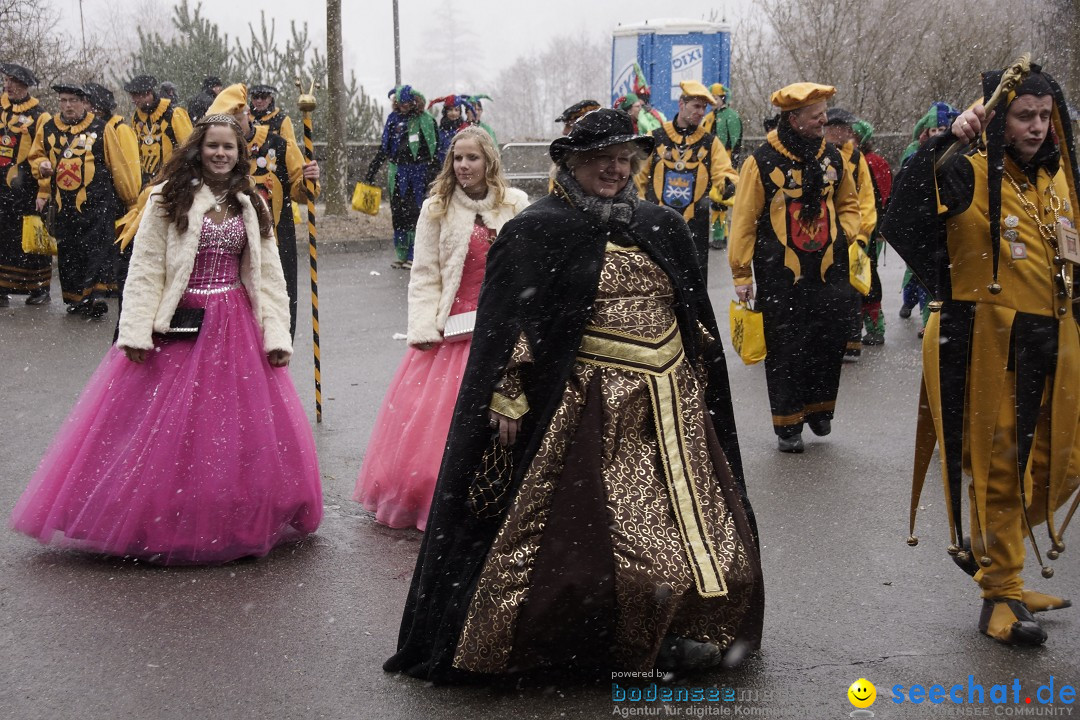 Festumzug mit Motivwagen: Stockach am Bodensee, 01.02.2015