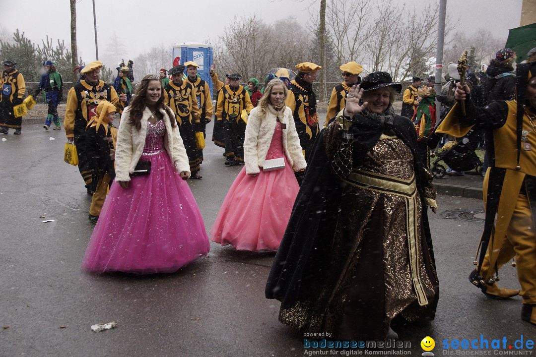 Festumzug mit Motivwagen: Stockach am Bodensee, 01.02.2015