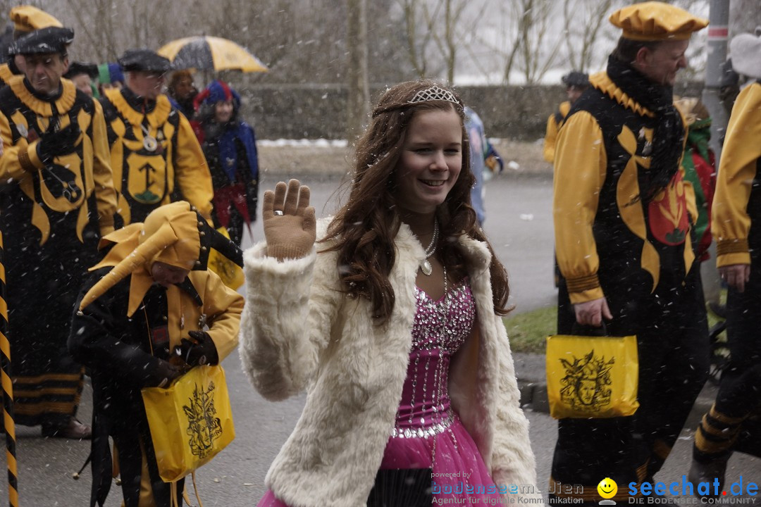 Festumzug mit Motivwagen: Stockach am Bodensee, 01.02.2015