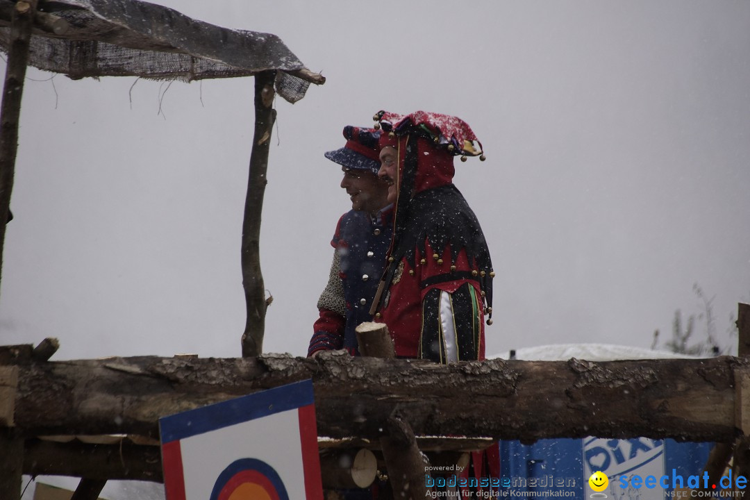 Festumzug mit Motivwagen: Stockach am Bodensee, 01.02.2015