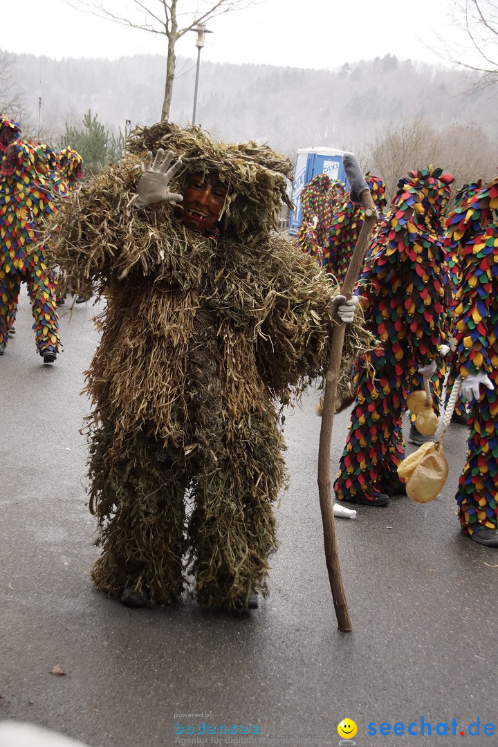 Festumzug mit Motivwagen: Stockach am Bodensee, 01.02.2015