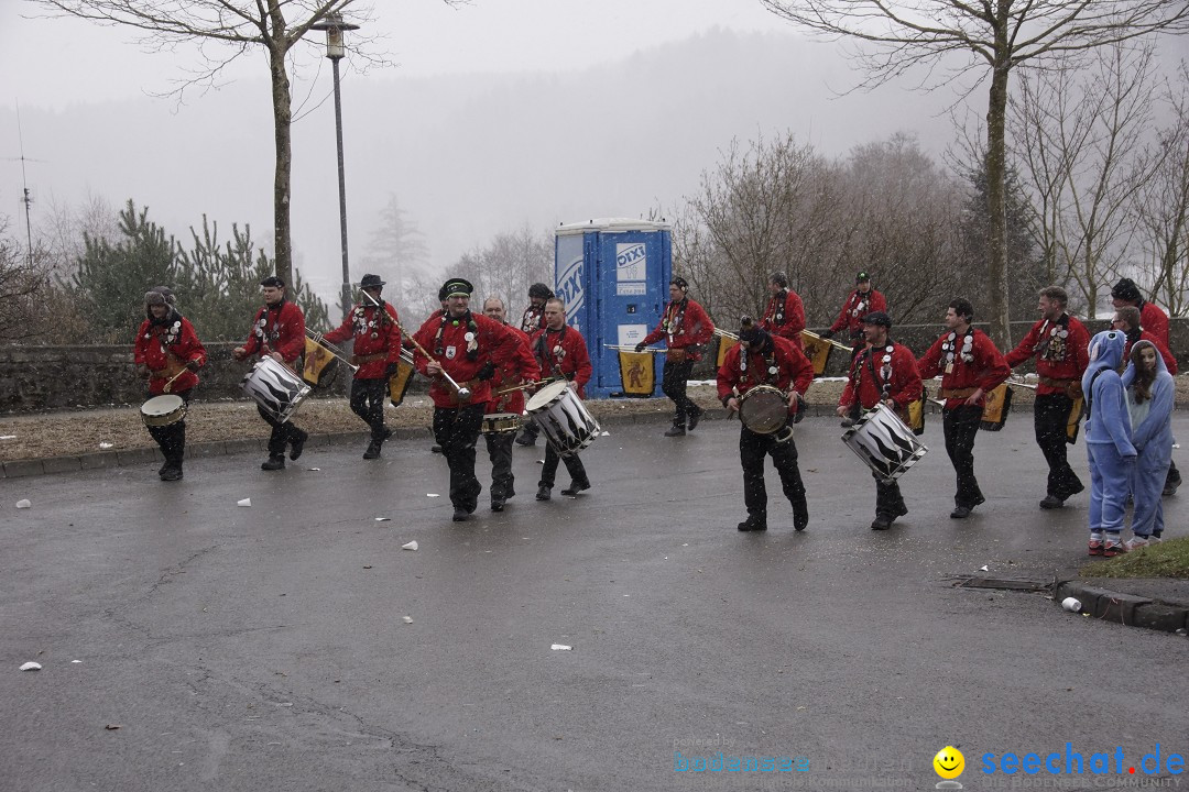 Festumzug mit Motivwagen: Stockach am Bodensee, 01.02.2015