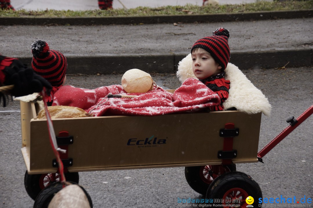 Festumzug mit Motivwagen: Stockach am Bodensee, 01.02.2015