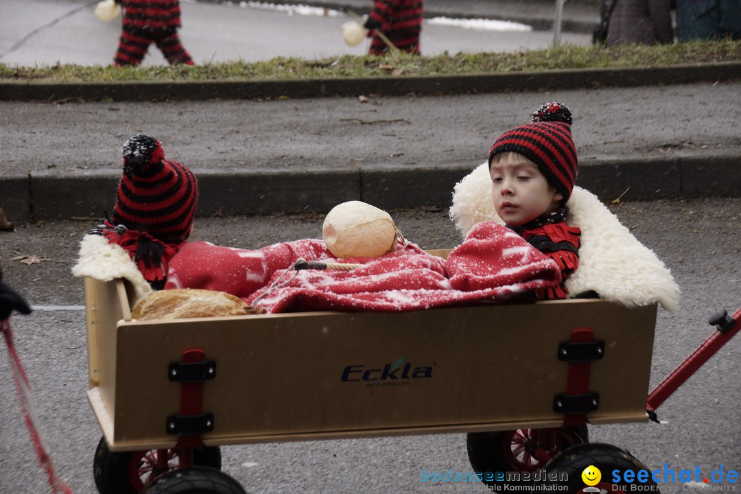 Festumzug mit Motivwagen: Stockach am Bodensee, 01.02.2015