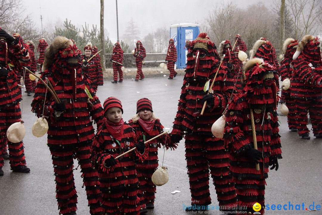 Festumzug mit Motivwagen: Stockach am Bodensee, 01.02.2015