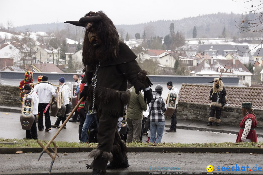 Festumzug mit Motivwagen: Stockach am Bodensee, 01.02.2015