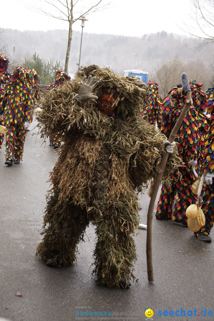 Festumzug mit Motivwagen: Stockach am Bodensee, 01.02.2015