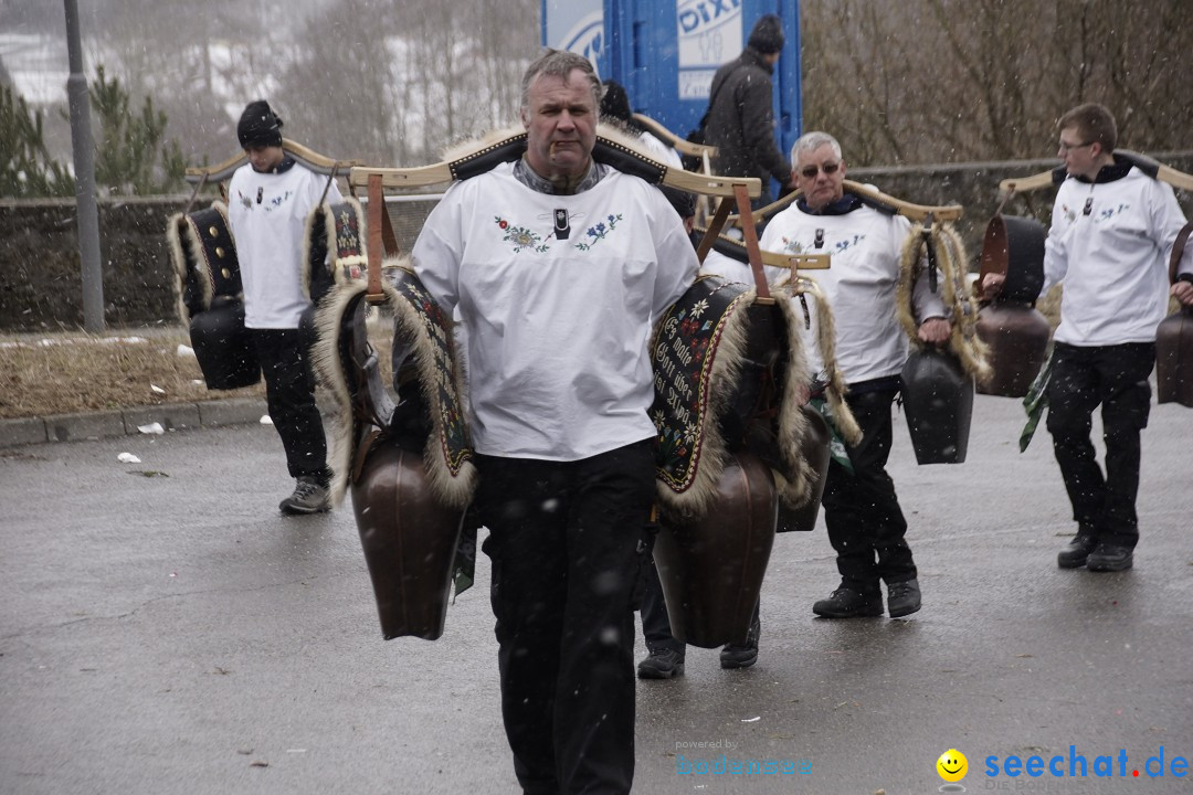 Festumzug mit Motivwagen: Stockach am Bodensee, 01.02.2015