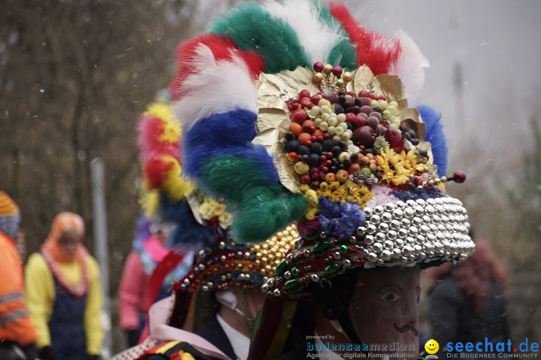 Festumzug mit Motivwagen: Stockach am Bodensee, 01.02.2015