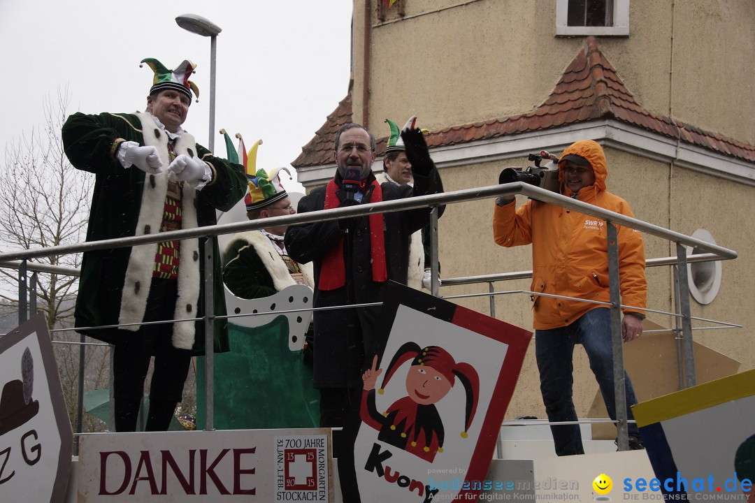 Festumzug mit Motivwagen: Stockach am Bodensee, 01.02.2015