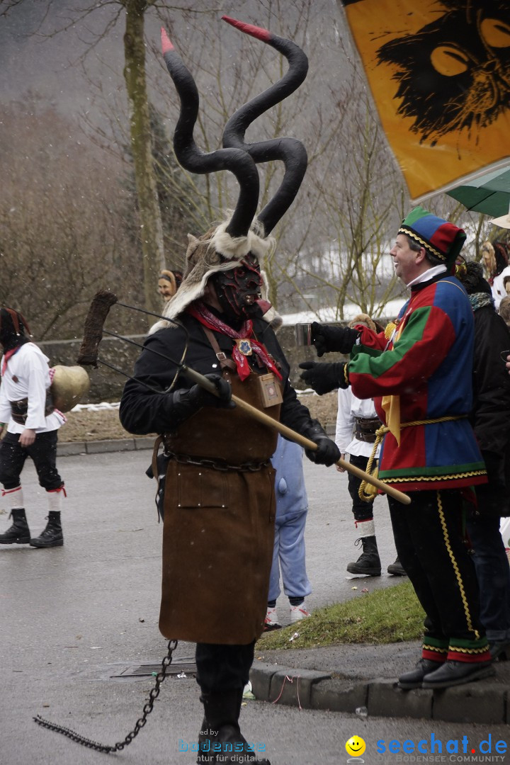 Festumzug mit Motivwagen: Stockach am Bodensee, 01.02.2015