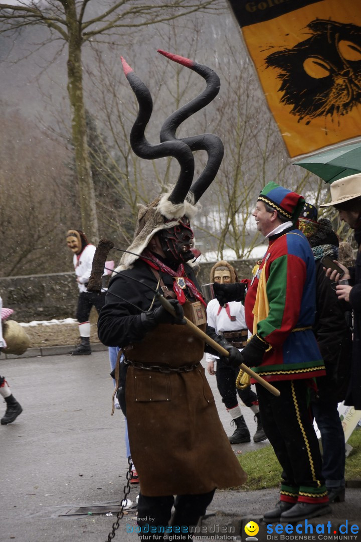 Festumzug mit Motivwagen: Stockach am Bodensee, 01.02.2015